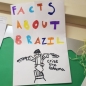 Facts about Brazil Posters