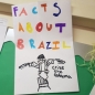 Facts about Brazil Posters