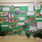 Brazil Class Display