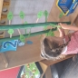 Nursery-Jack and the Beanstalk