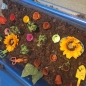 Nursery-Jack and the Beanstalk