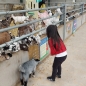 Nursery's Visit to Cockfield's Farm 2023