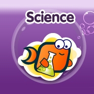 Key Stage 2 Bitesize Science