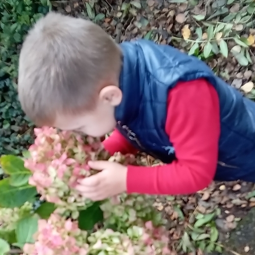 Wharton Primary School - Nursery's Autumn Walk- Local Park Trip