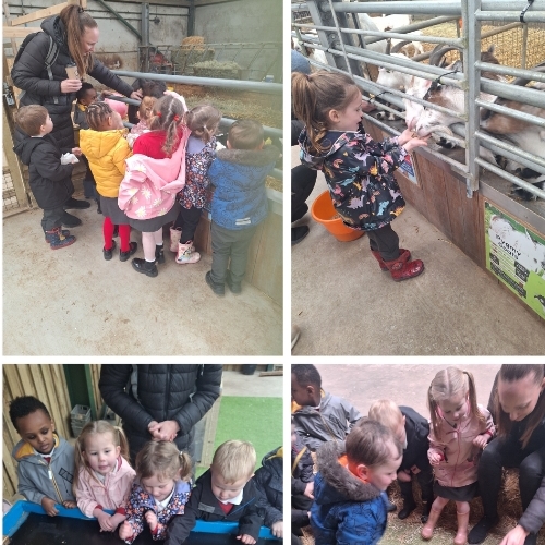 Nursery's visit to Cockfield's Farm 2024